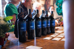 Celebrating 50 Years of Ford Dimension 24